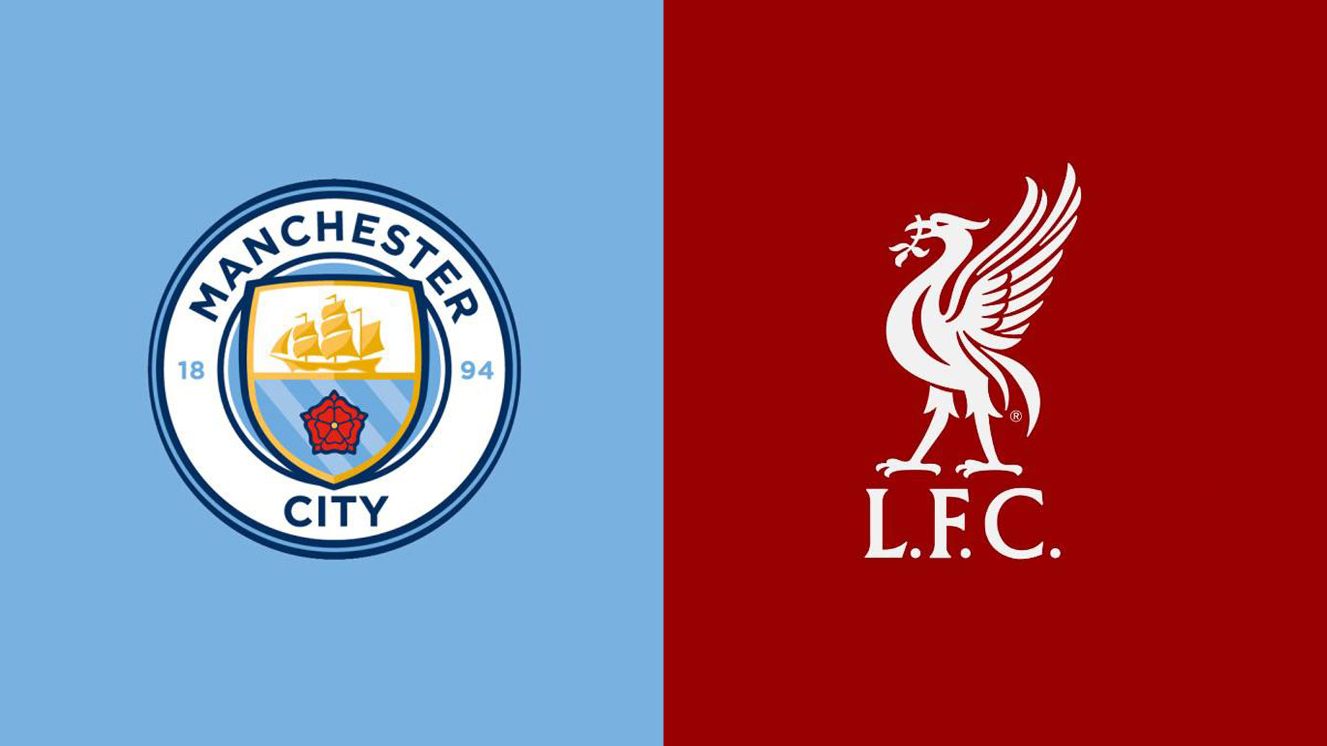 视的存在 视的存在